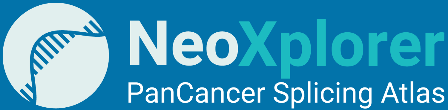 NeoXplorer Logo
