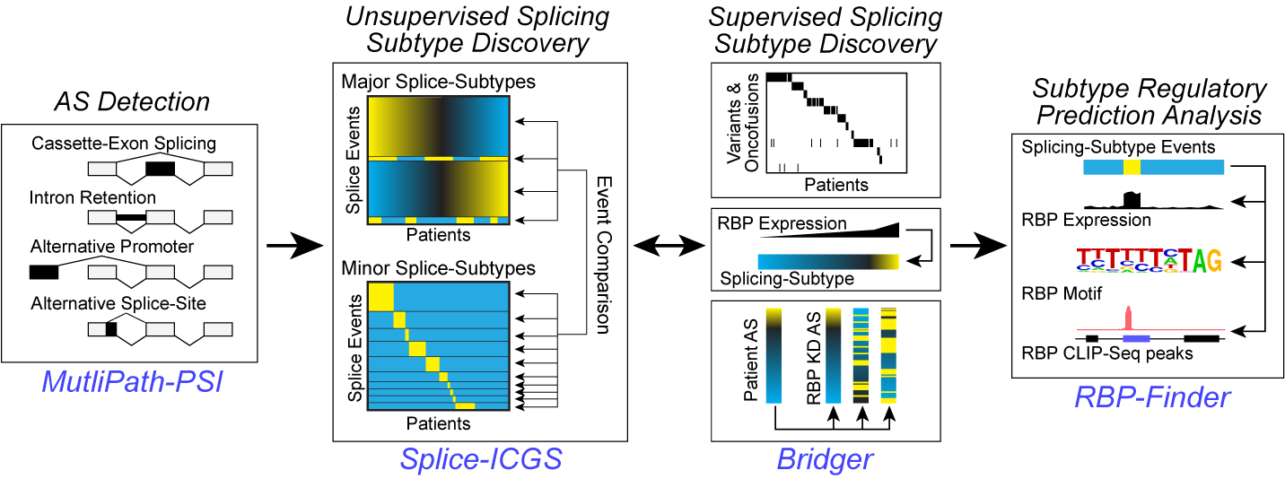 OncoSplice Workflow